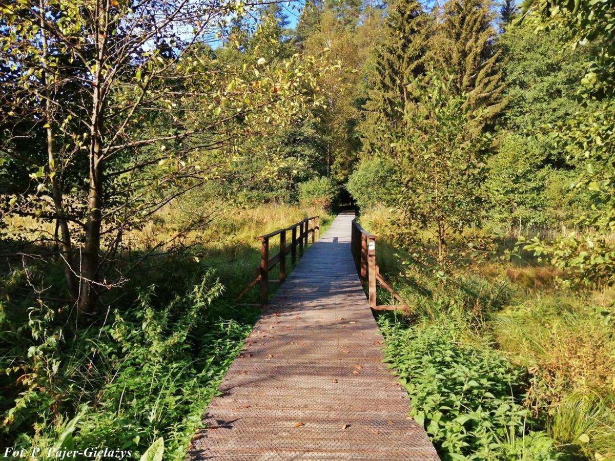 SuwałkiWigierski Park Narodowy公寓 外观 照片